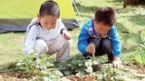 【他山之石】中國最貴最漂亮的"鄉(xiāng)村幼兒園"